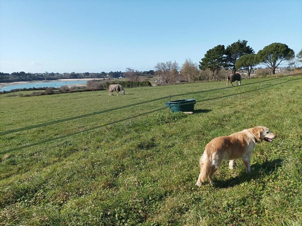 Quiet Duplex Apartment In St Briac Sur Mer Saint-Briac-sur-Mer Γαλλία